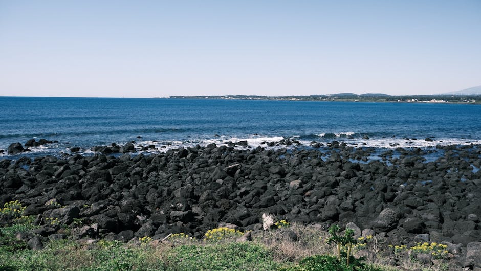 肌醇：治療多囊性卵巢症候群的獨特選擇與治療選項比較