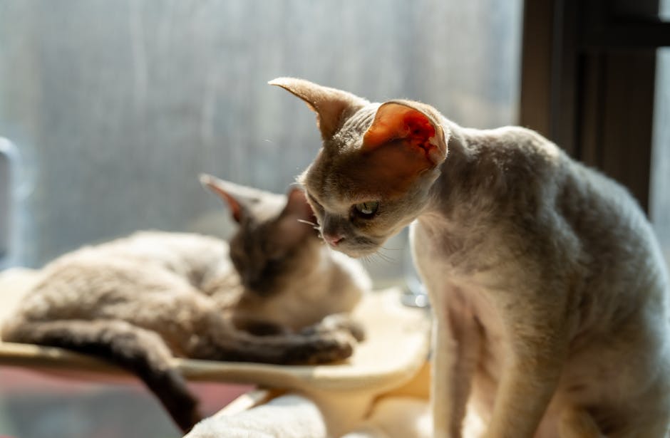 室內防曬有必要嗎？紫外線無所不在，小心在室內也可能被曬黑！