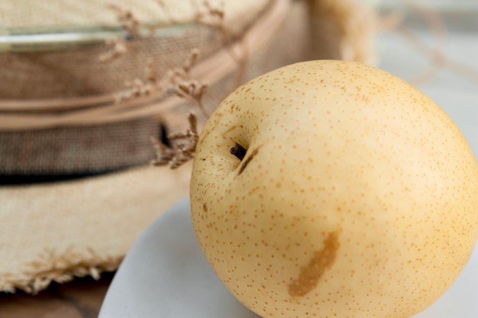 酪梨種植指南：3～4月、11月種植好時機