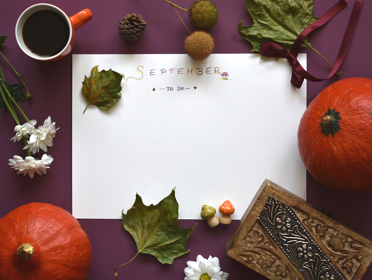 帶貨直播如何以「粉絲共創」培養忠誠度？高效提升粉絲黏性與復購率的完整教學