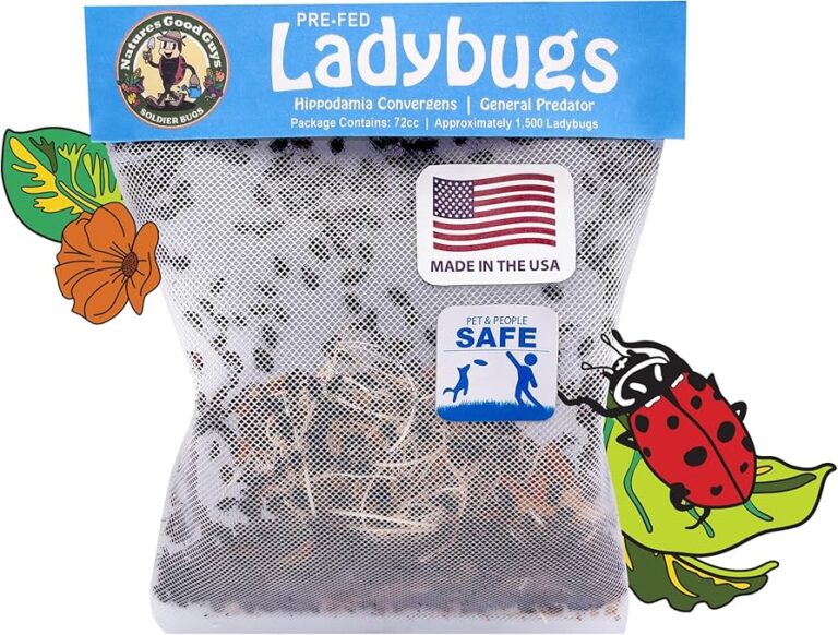 Amazon.com : NaturesGoodGuys 1500 Live Ladybugs - Good Bugs ...