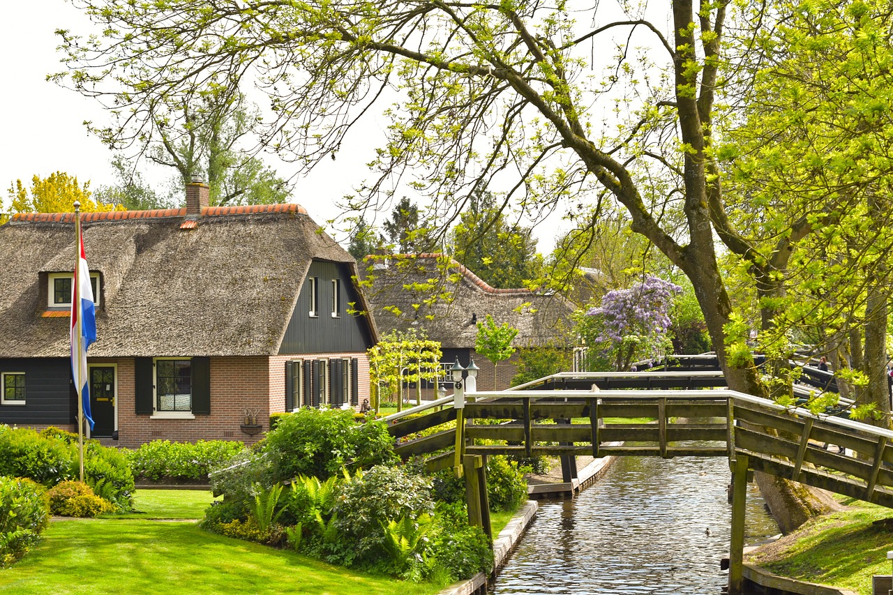 直播帶貨如何確保「商品實際效果」呈現在鏡頭上？高效轉化率的視覺化呈現秘訣！