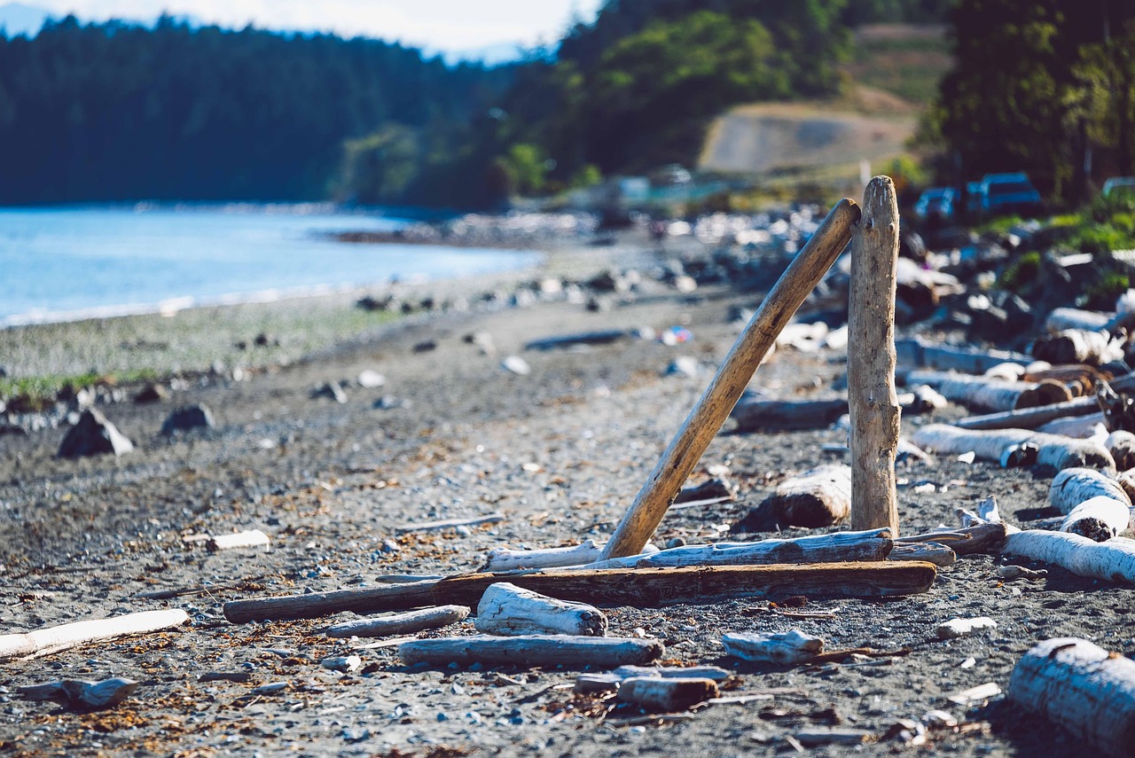 直播帶貨必學秘訣！高效利用「秒殺倒數」避免觀眾跳票