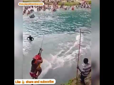 直播帶貨必學：如何以「節慶主題」創造高吸引力教育內容，提升銷售轉化率