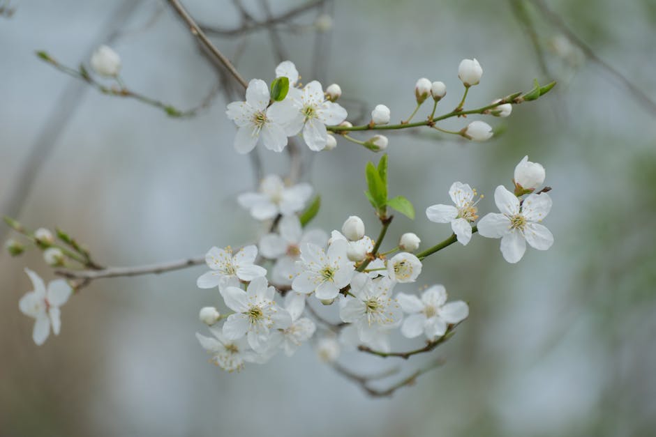 如何有效使用直播倒數與節奏節點提升購買決策? 必學!倒數攻略打造高轉化直播間