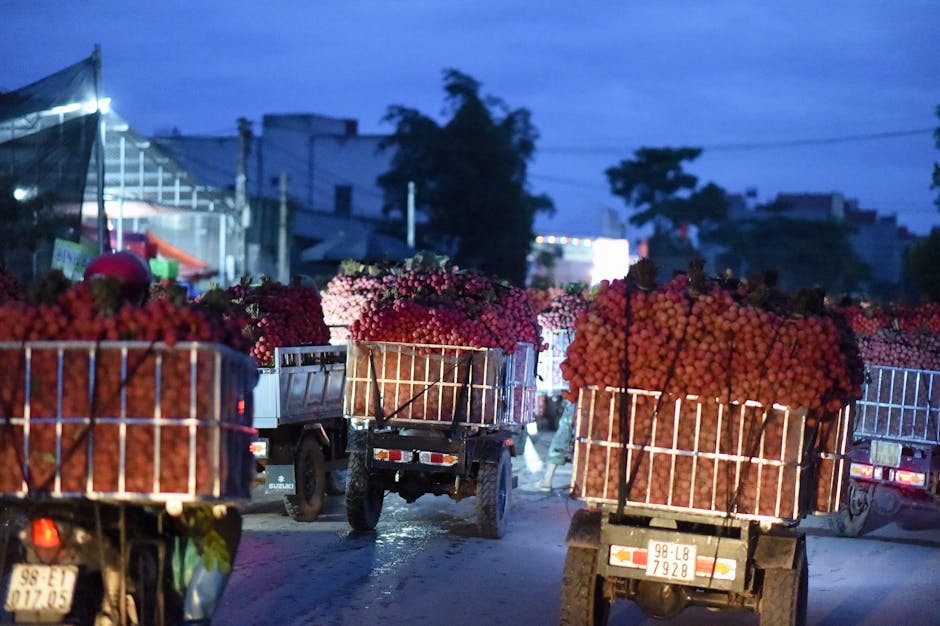 新手直播常見錯誤TOP10與快速修正技巧：新手必看全攻略！