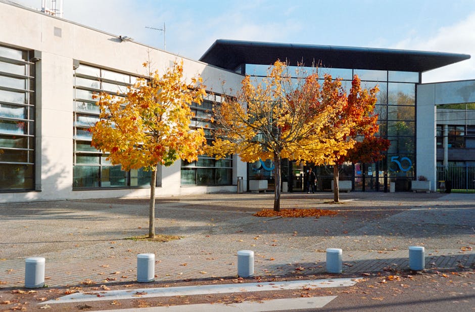 直播法律實務：合約到爭議解決全攻略，保障直播主、MCN 權益！