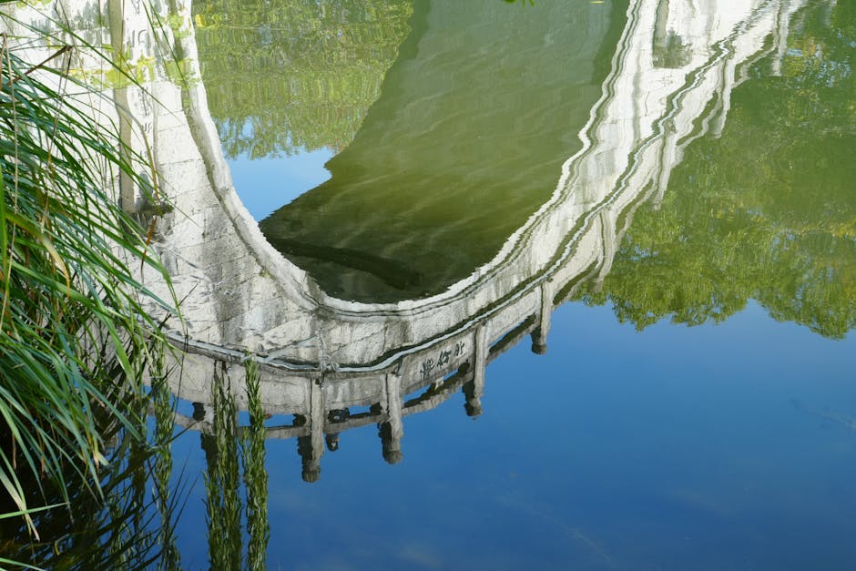 直播畫面升級指南:設備與背景巧搭配,打造吸睛直播!