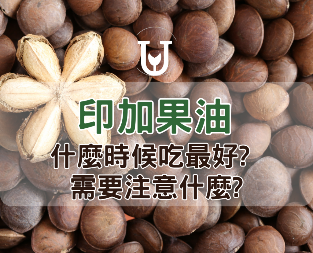 印加果油最佳食用時機大公開！ 飯前、飯後、睡前吃都有好處