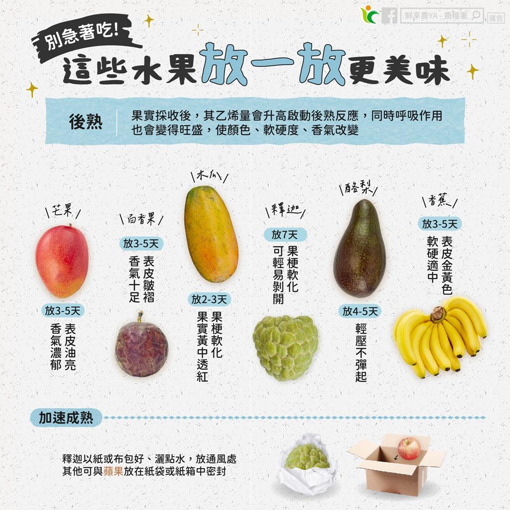 酪梨降壓妙方：高血壓患者的健康選擇