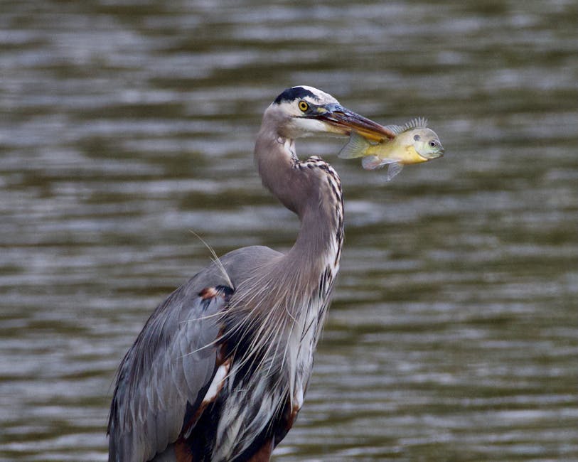 可以邊洗澡邊敷面膜嗎？這樣敷竟會讓肌膚敏感！