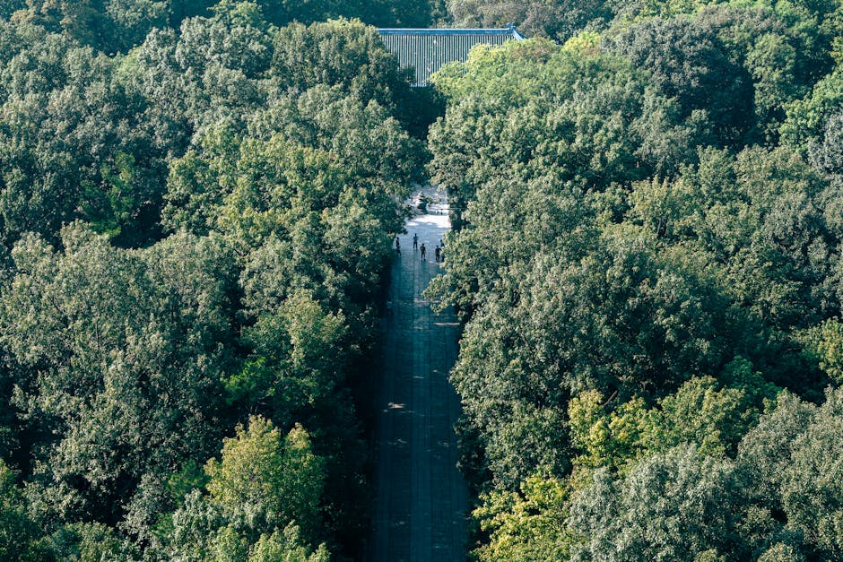 油肌防曬戰略：清爽妝前乳選擇指南