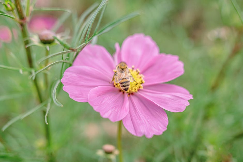 維生素B群與痘痘：揭開真相，避免誤解