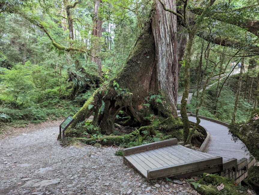 如何知道自己是不是酒糟肌？酒糟肌診斷指南及注意事項