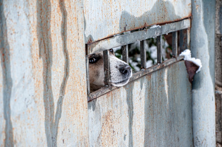 告別冬季乾癢！名媛級7步驟秋冬身體保濕攻略