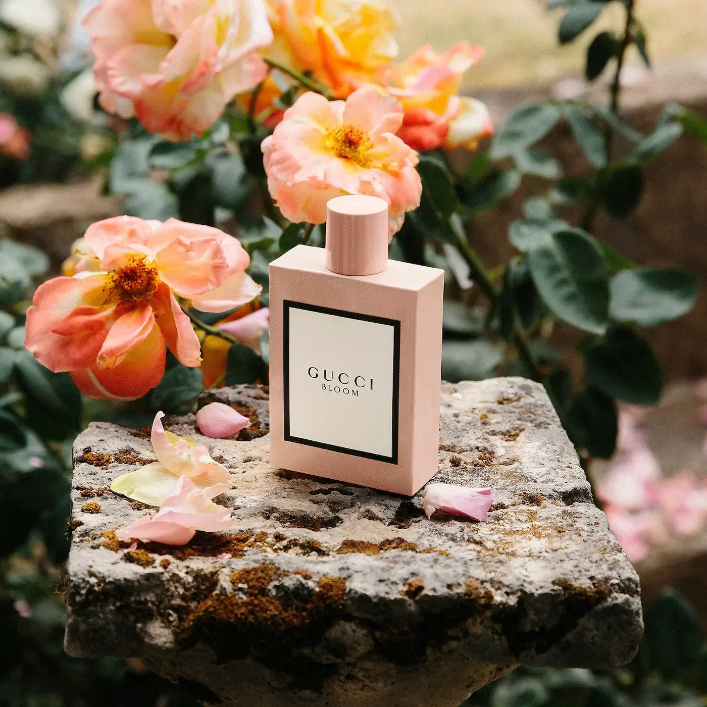 3. Gucci：創新與復古的完美結合