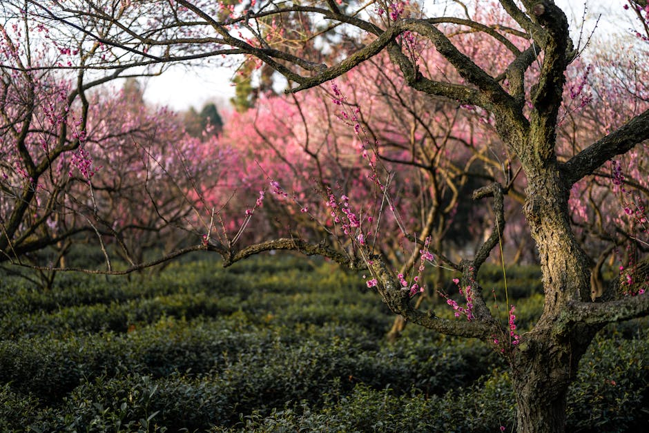春夏拒絕平庸花香！非花系香水推薦，柚子、雪松、開心果獨特又耐聞