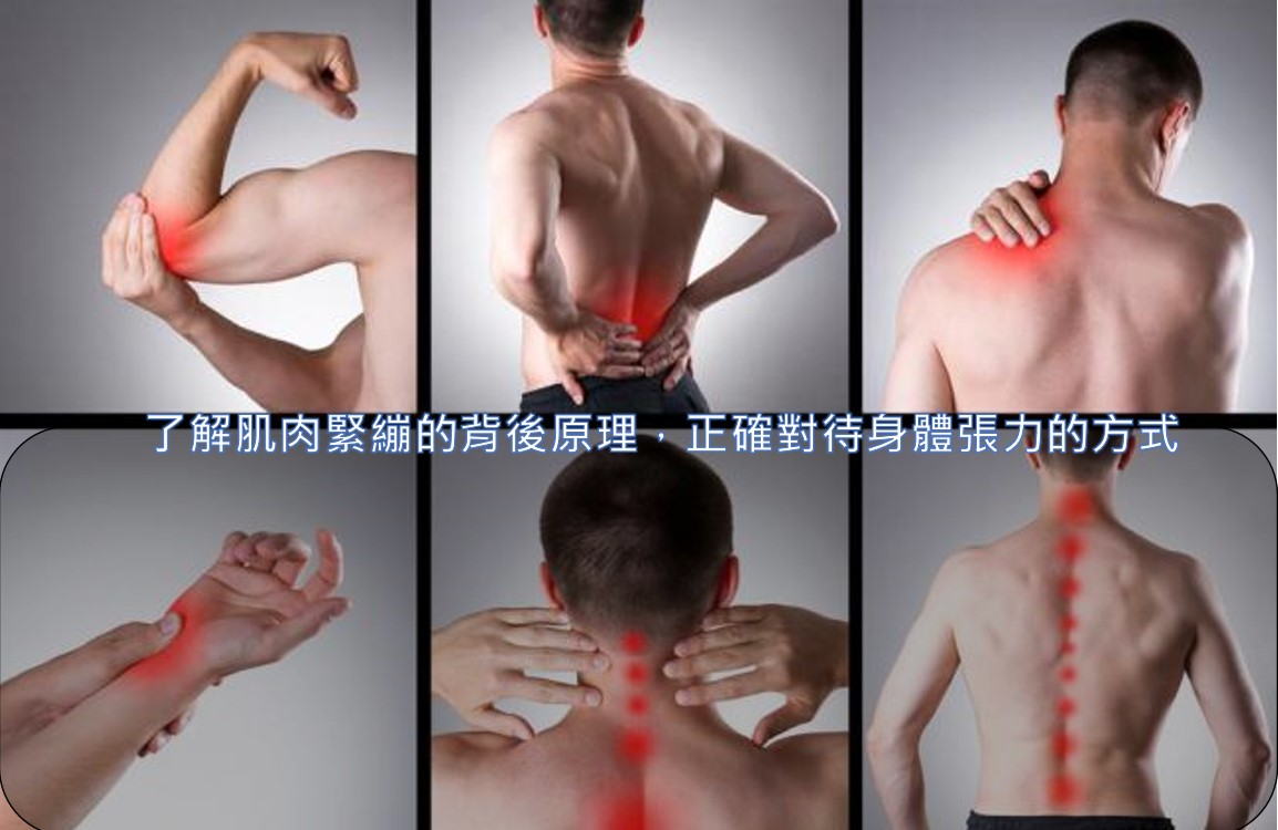 懸吊訓練是否適合上肢肌肉恢復？高效的低衝擊上肢肌群鍛鍊指南