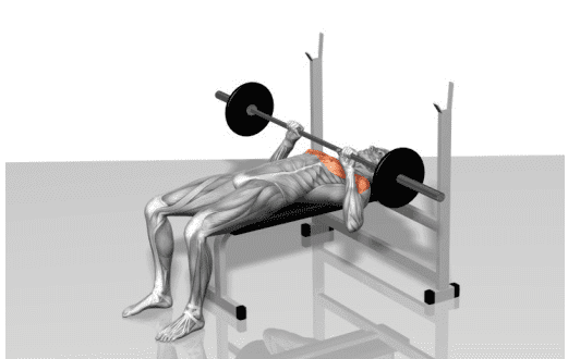 下胸徒手訓練的高效方法：完整教學，在家練出完美胸型！