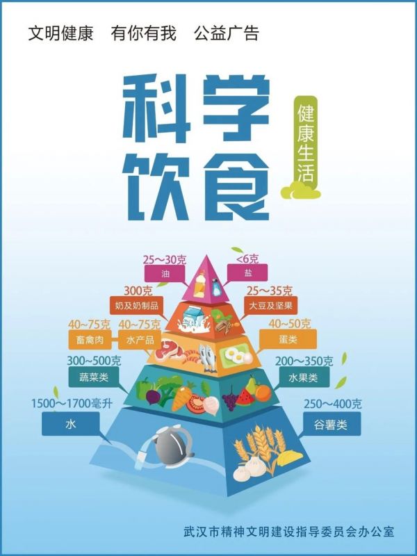 核心肌群與體態改善的關聯：高效改善駝背、骨盆前傾的完整教學