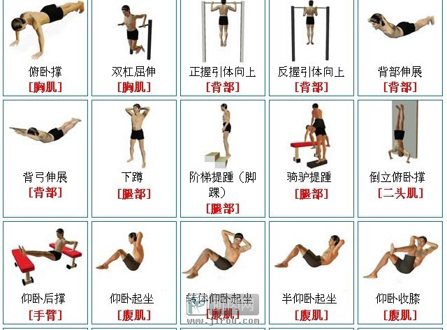 如何使用懸吊式伏地挺身器材高效訓練胸肌：完整教學與安全指南