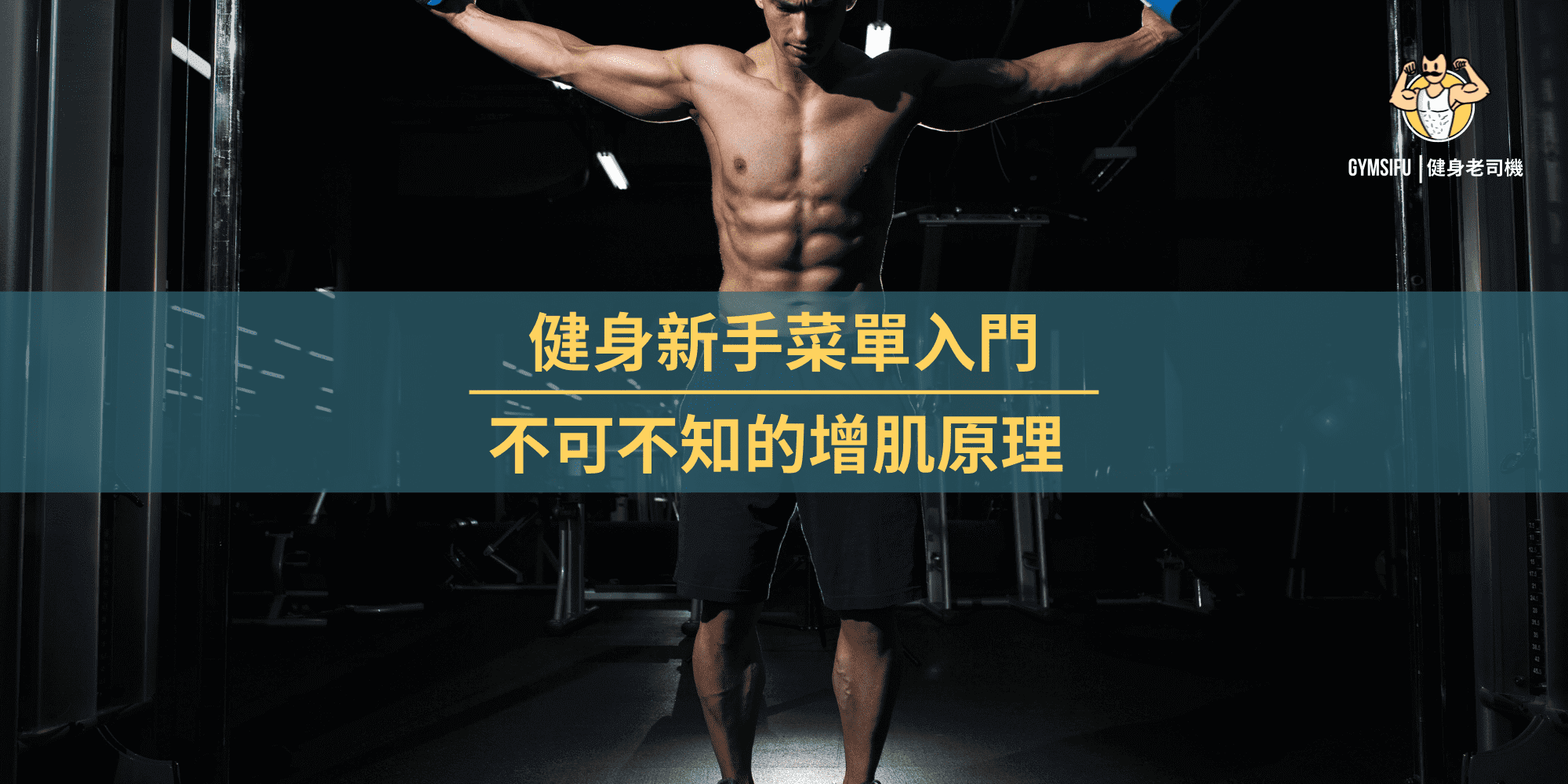 如何設計健身房新手的全身訓練課表？新手必學高效健身攻略