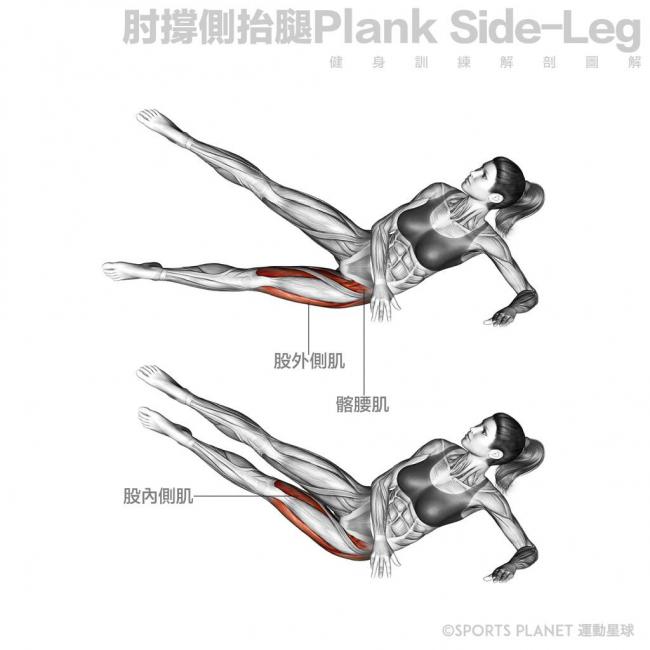 臀中肌訓練的動作推薦：高效提升骨盆穩定性完整教學