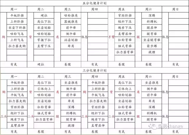 如何設計適合初學者的健體訓練計劃？高效塑形攻略，完整教學！