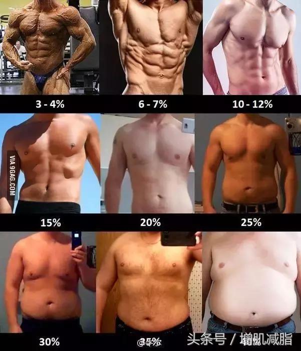 從初學者到進階者的減脂階段訓練計劃：高效燃脂攻略，完整教學！