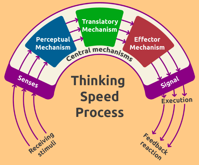 敏捷訓練如何提升運動表現：高效提升反應速度與動作協調性的完整教學