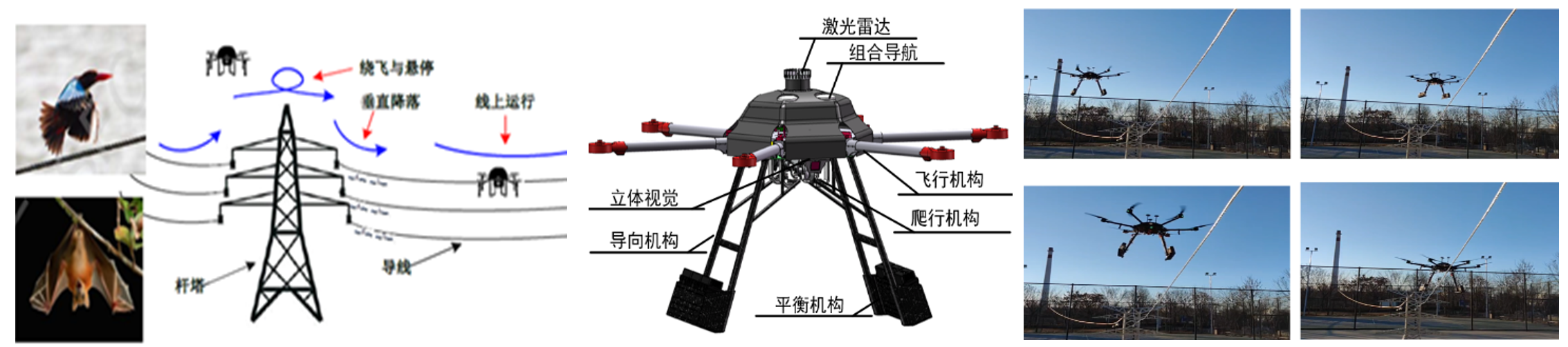 如何使用垂直爬行機進行全身恢復？高效康復指南：完整教學