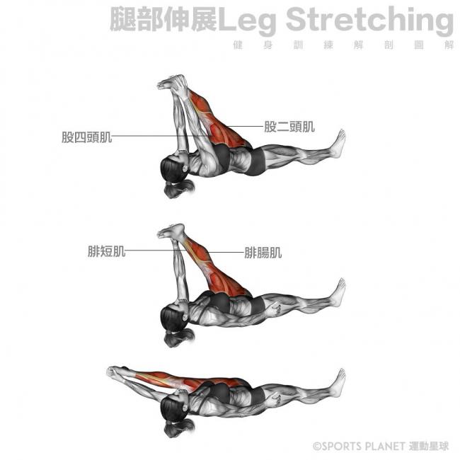 三頭肌徒手訓練的進階技巧：在家高效打造完美手臂線條！