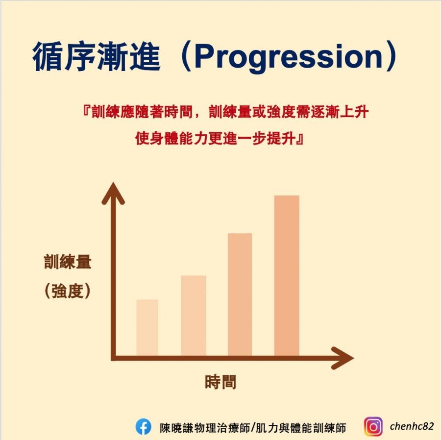 如何設計高效的滾輪腹肌訓練方案？完整教學，打造精實核心！