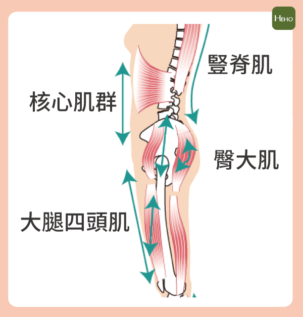籃球賽場縱橫，強健體態制霸全場：核心訓練指南