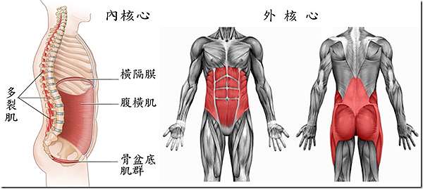 如何利用懸吊器材進行多角度核心訓練：高效提升核心穩定性的完整教學