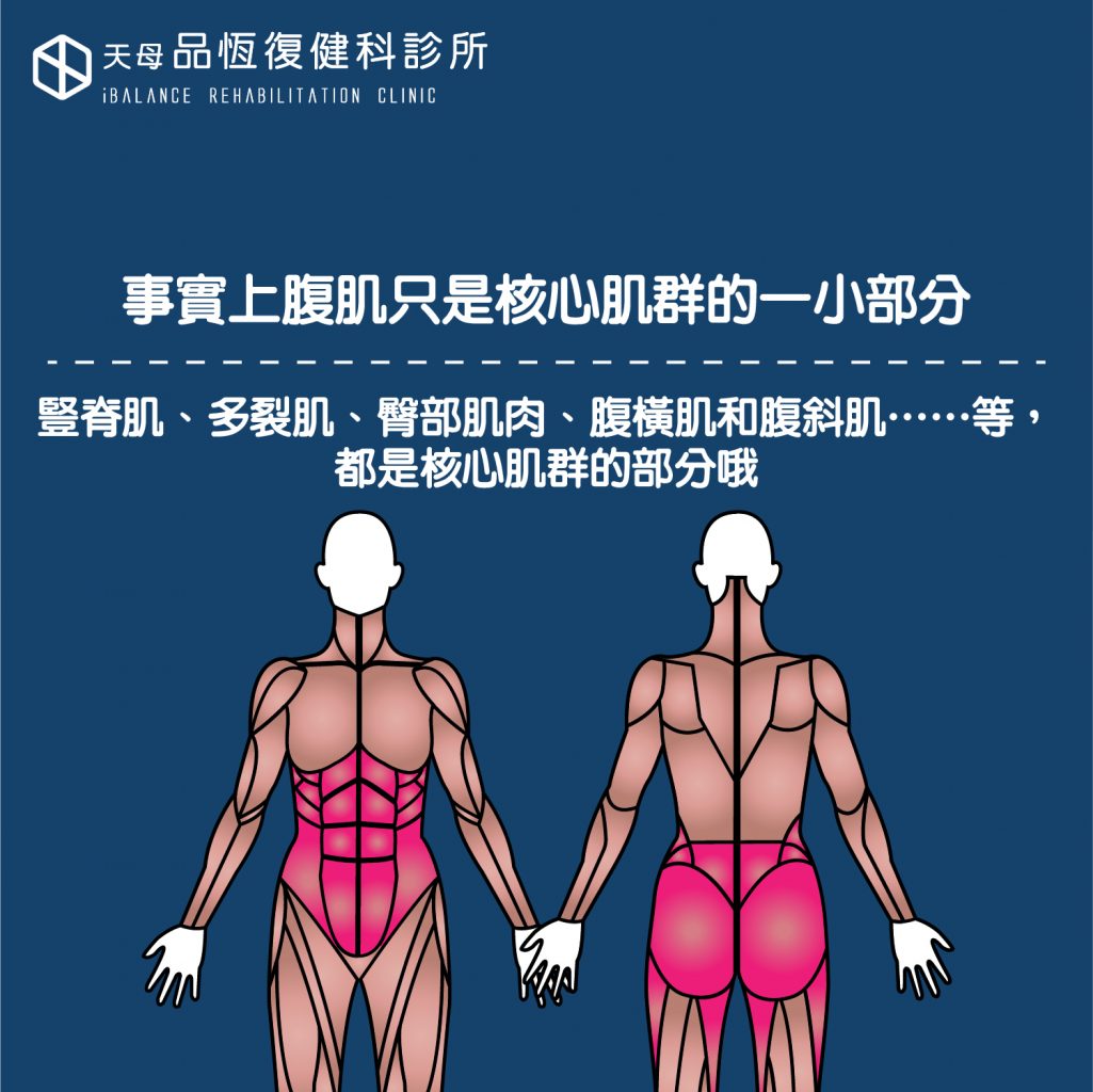 強化核心，運動表現迎向巔峰：常見核心肌群訓練動作指南