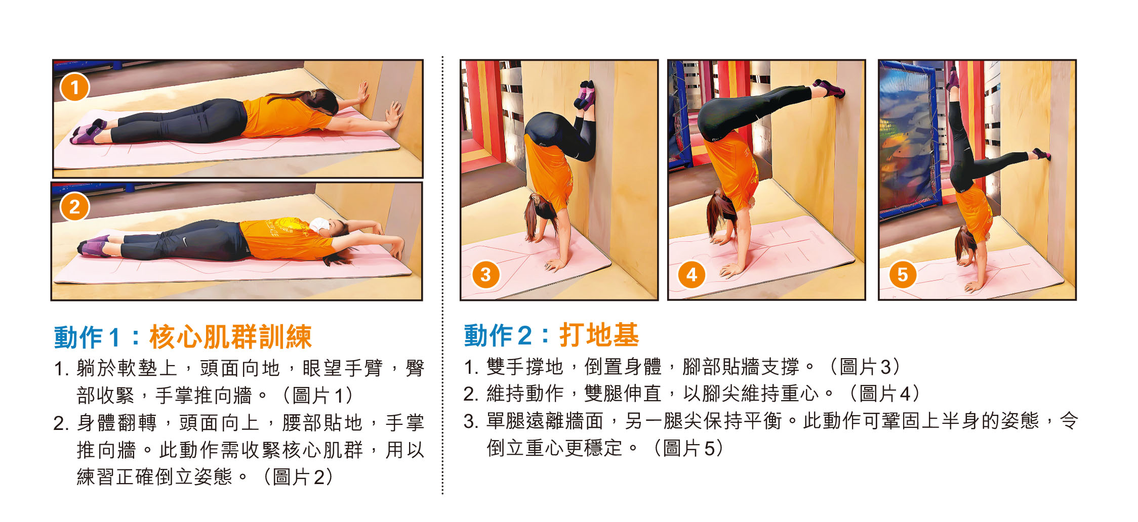 滑輪機對於核心訓練的效果如何？高效核心訓練的完整教學與秘訣