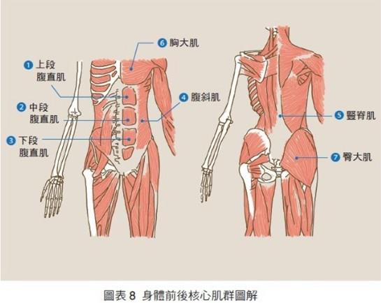 棒球投手如何運用身體旋轉訓練增強投球威力？高效提升投球速度與穩定性的完整教學