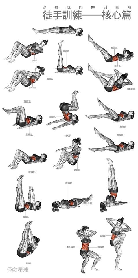 田徑訓練中的關鍵要素：核心訓練防腰痛指南