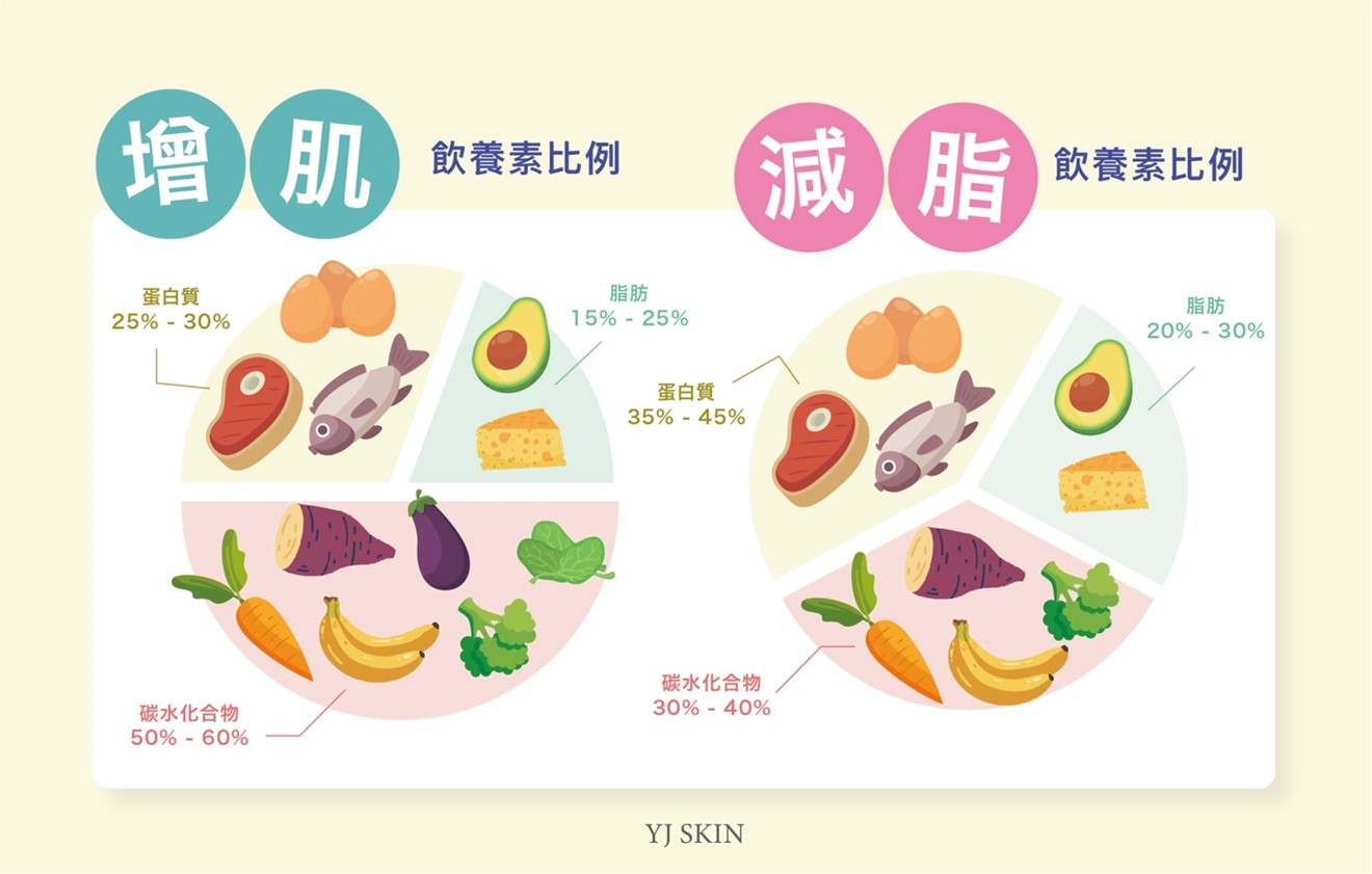 減脂和增肌可以同時進行嗎？高效塑形指南：兼顧力量與有氧的完整教學