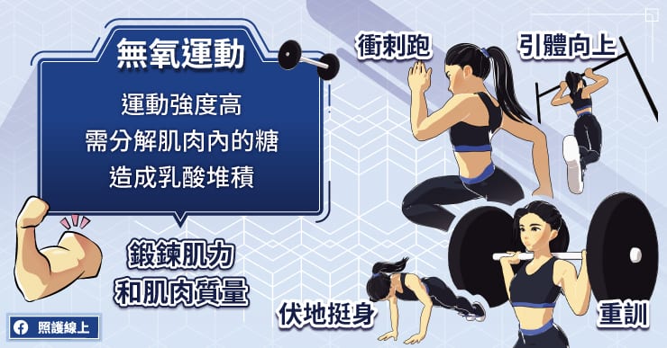 如何進行有效的有氧與無氧運動搭配訓練？高效燃脂增肌的完整教學