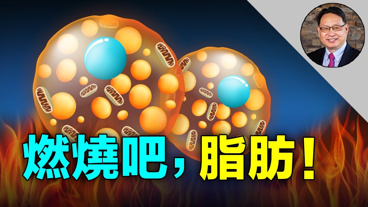 高強度間歇跑步的全身減脂計劃：高效燃脂秘訣與完整教學