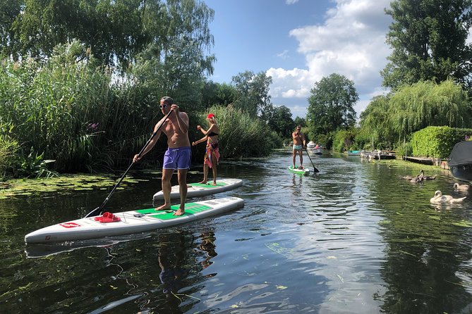 站立划船運動是否適合肩部恢復？安全高效的恢復攻略