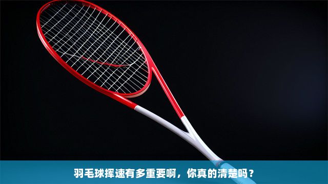 羽毛球揮拍速度提升秘訣：突破技術，提升表現