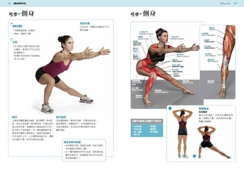 平衡板訓練對於核心力量恢復的作用：高效提升核心穩定性的完整教學