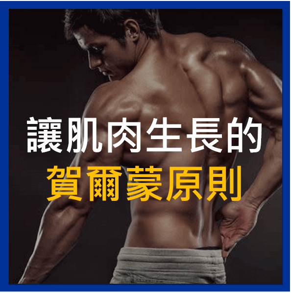 The Role of Core Training in Injury Recovery and Muscle Building：高效核心訓練攻略，助你傷後恢復與增肌！