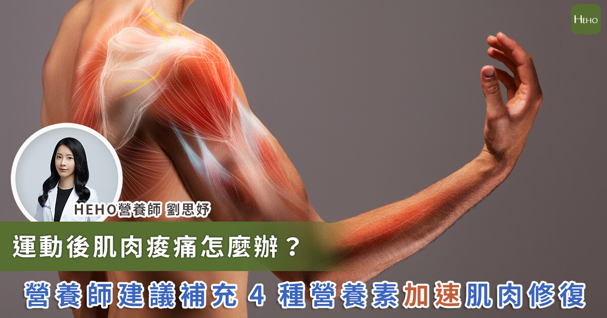 振動訓練板是否能促進肌肉恢復？高效康復指南：安全使用與實用技巧