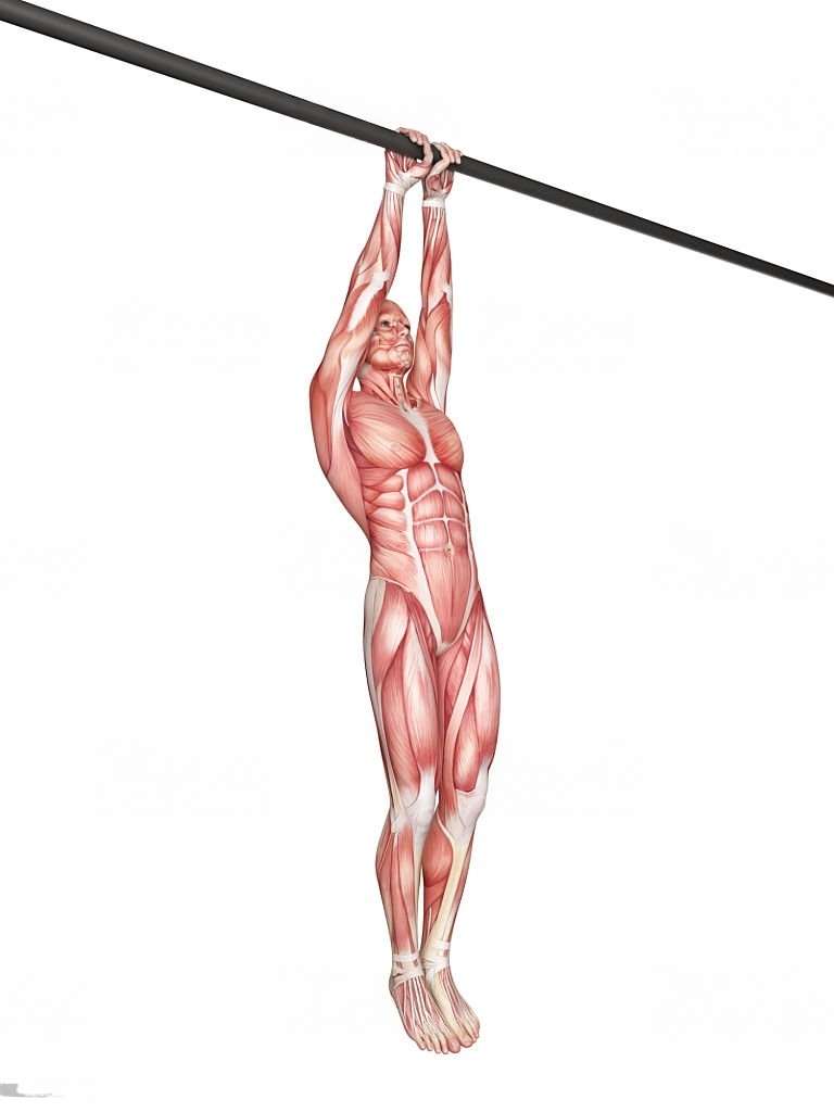 如何使用簡單器材進行背部力量恢復：高效居家訓練指南