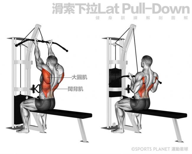 大圓肌的徒手訓練方法：在家就能練出強壯背肌的3個高效動作！