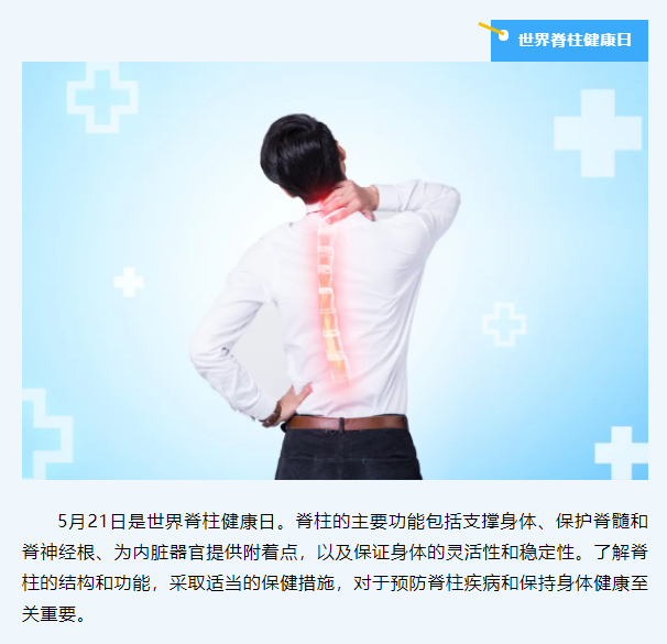 滾輪訓練如何幫助改善脊柱健康？高效提升核心力量與脊椎穩定性的完整教學